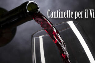 Cantinetta vino: la guida del sommelier