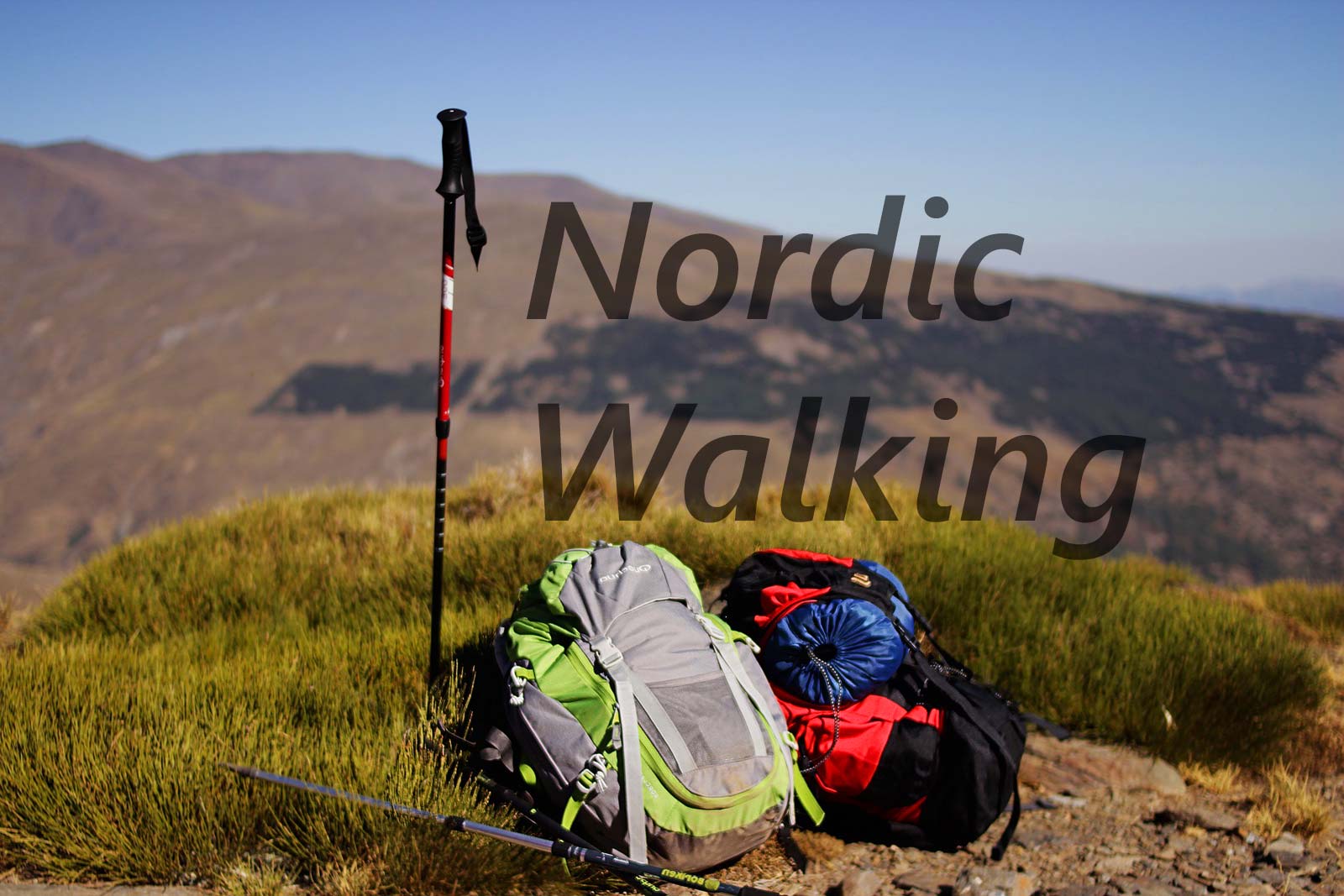 ATTRAC PDF Workout Impugnatura in Sughero e Sistema sgancio rapido „Click & Go“ dei guantini Bastoncini Nordic Walking a Lunghezza Fissa
