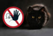 Repellente per gatti