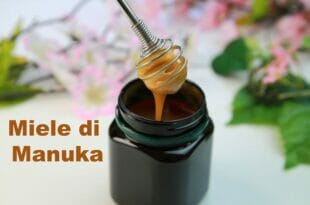 Miele di Manuka