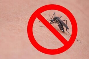 Miglior repellente zanzare