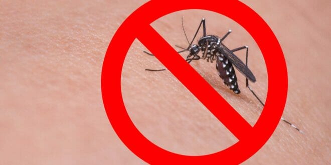 Miglior repellente zanzare