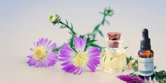 Migliore olio 31