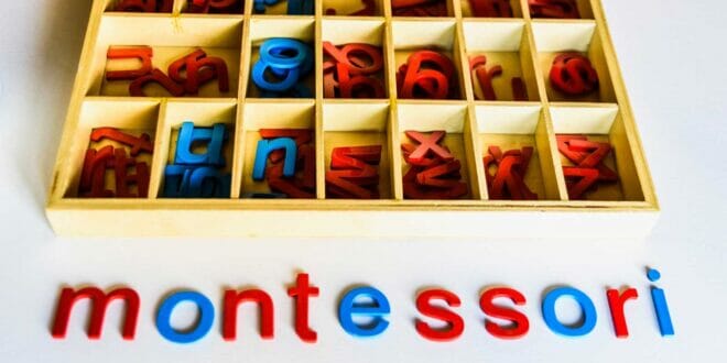 Migliori librerie montessoriane