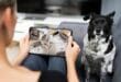 Migliori videocamere per animali